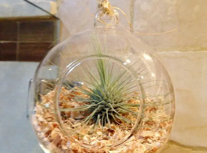 Atico Deluxe San Basilio דירה קורדובה