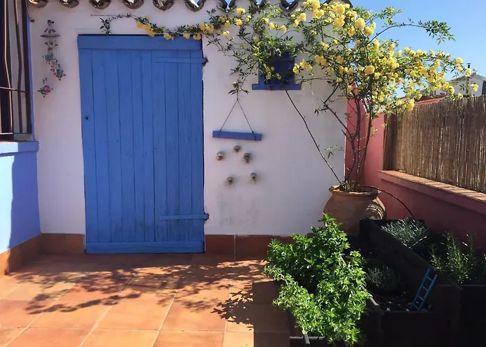 דירה Atico Deluxe San Basilio