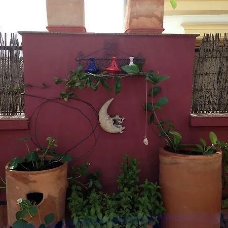 Atico Deluxe San Basilio Apartment