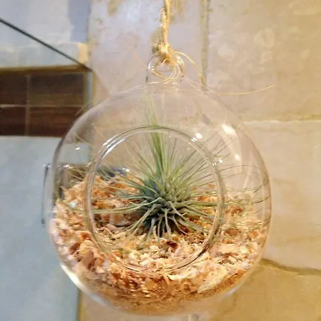 Atico Deluxe San Basilio Apartment Cordoba